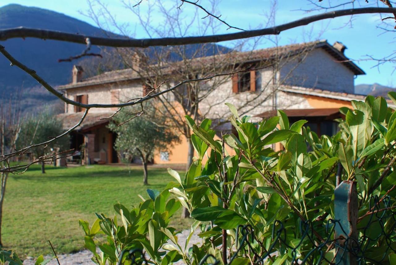 ホテル Casa Vinto カーリ エクステリア 写真